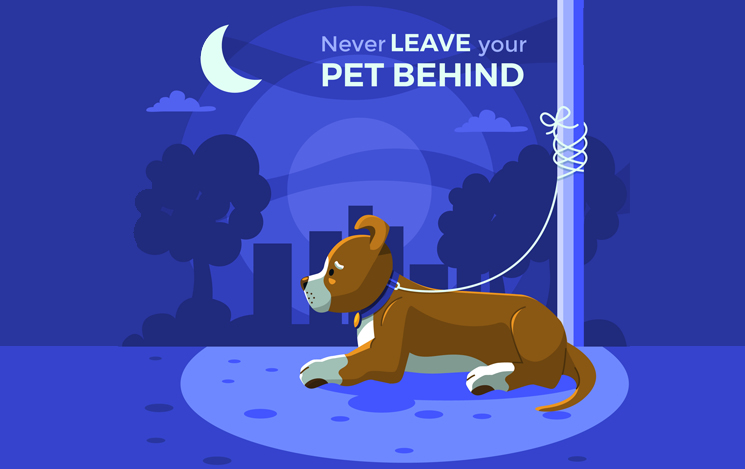 Never Abandon Pets: A Lifelong Commitment