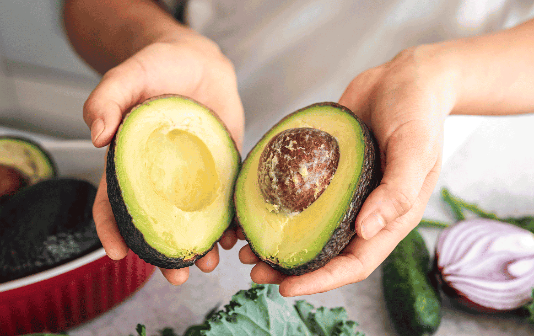 Not All Human Food is Safe for Pets: A Guide to Toxic Foods for Dogs and Cats